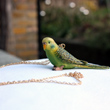 blue and green budgie necklace