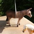 view from the farm....animal picture magnets