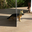 view from the farm....animal picture magnets