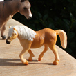 view from the farm....animal picture magnets