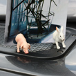 view from the farm...animal picture magnets