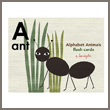 alphabet animals flash cards
