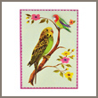 green budgie - tin badge card