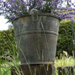 galvanised bucket