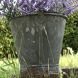 galvanised bucket