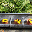 galvanised trough