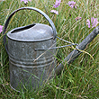 galvanised watering can