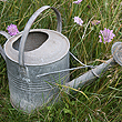 galvanised watering can