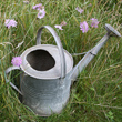 galvanised watering can