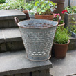 vintage galvanised grape bucket