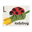 alphabet animals flash cards